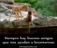 /album/chibis/imagenes-para-el-facebook-para-etiquetar-amigos-buenos-amigos-jpg/